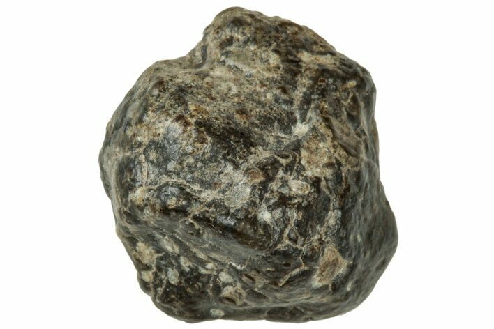 Lunar Meteorite ( g) - Laayoune #313126